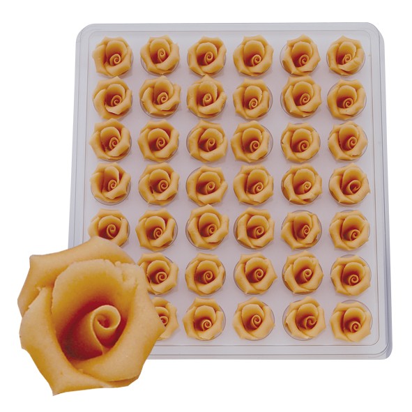 Rosen klein lachs