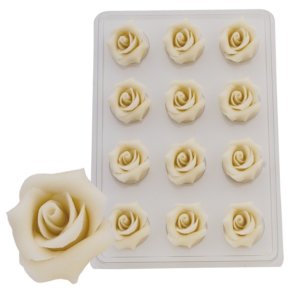 Rosen groß weiß