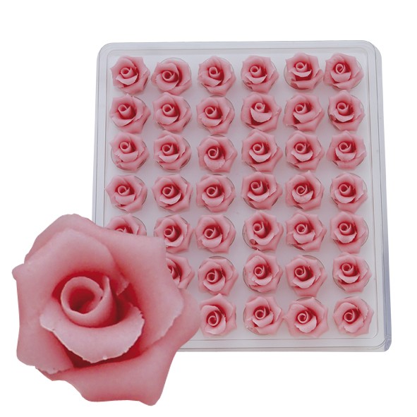 Rosen klein rosa