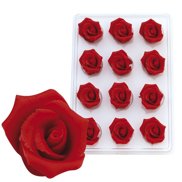 Rosen groß rot